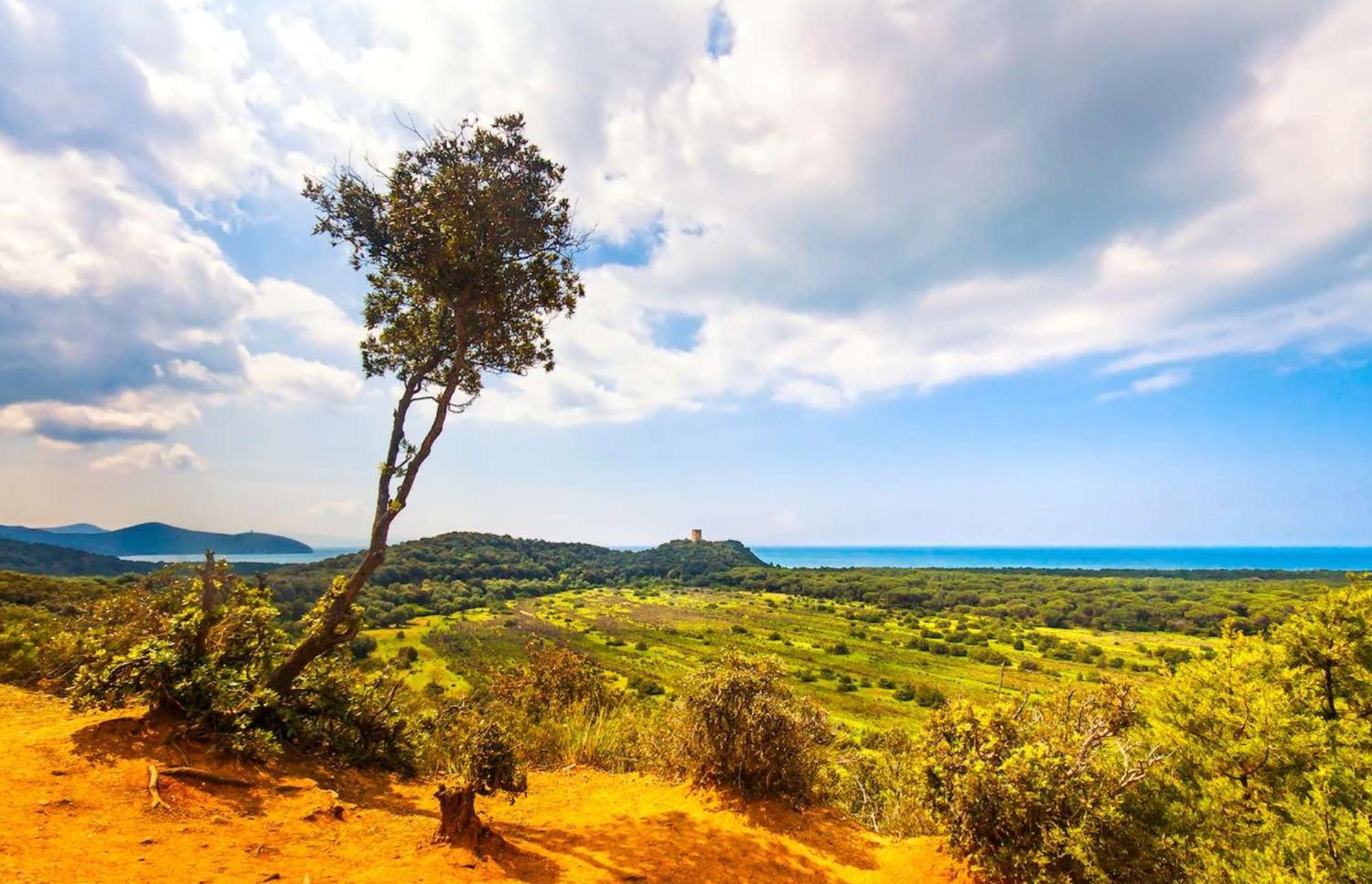 Agriturismo Capricorni Масса-Мариттіма Екстер'єр фото